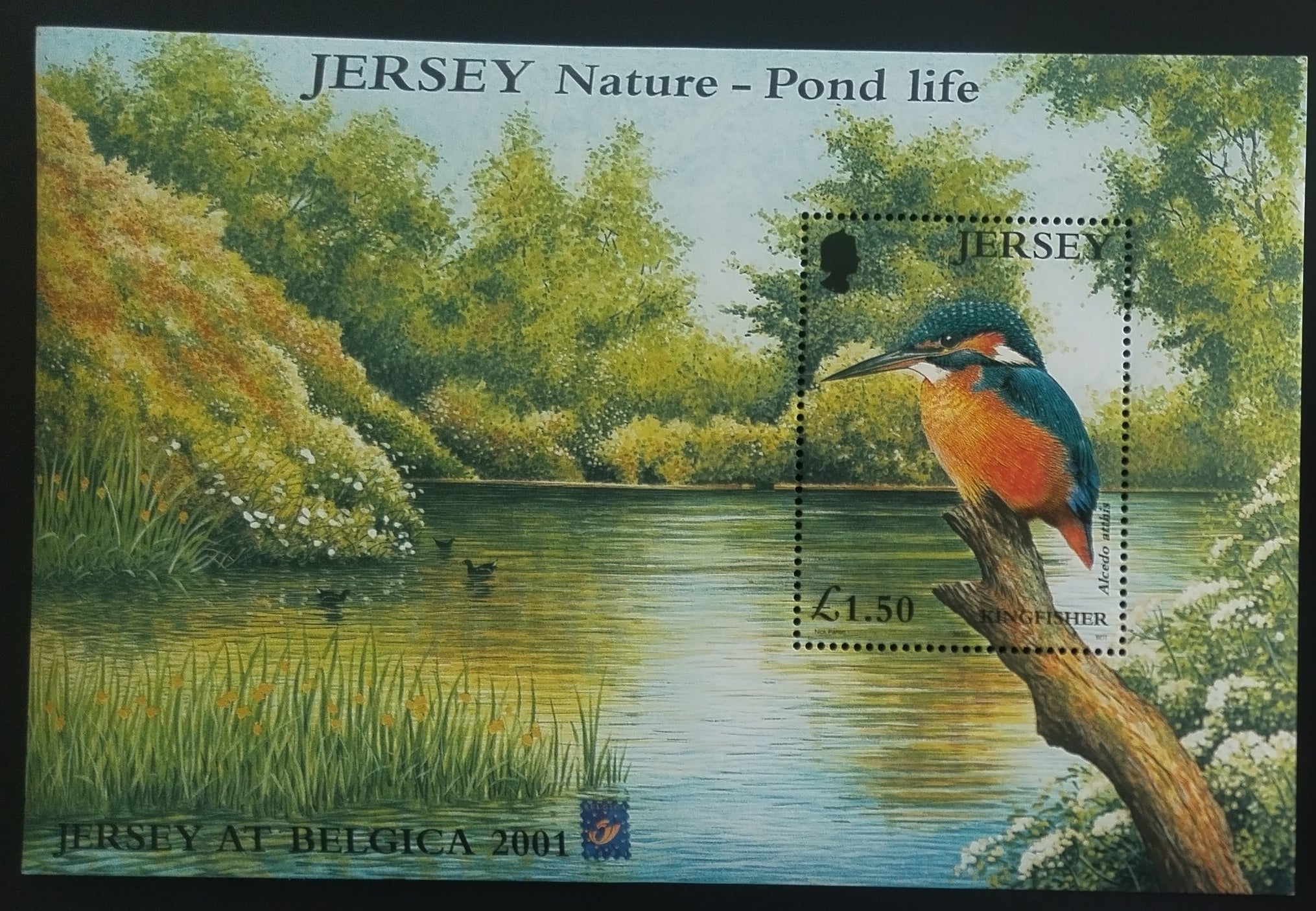 Jersey 2001 Kingfishers and Birds, Exhibition Reprint
