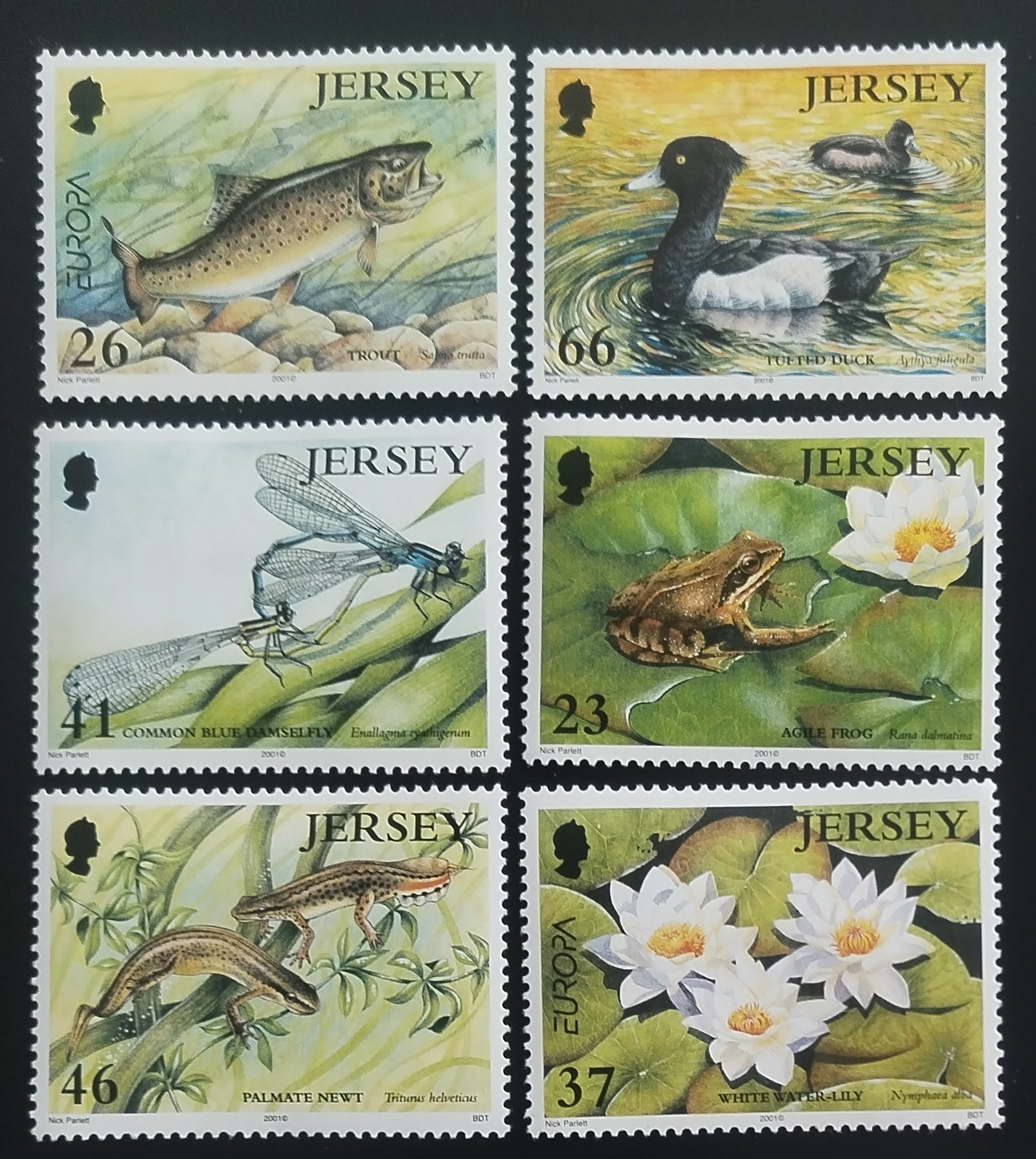 Jersey 2001 Fauna rybníků, Ryby a žáby, Flora