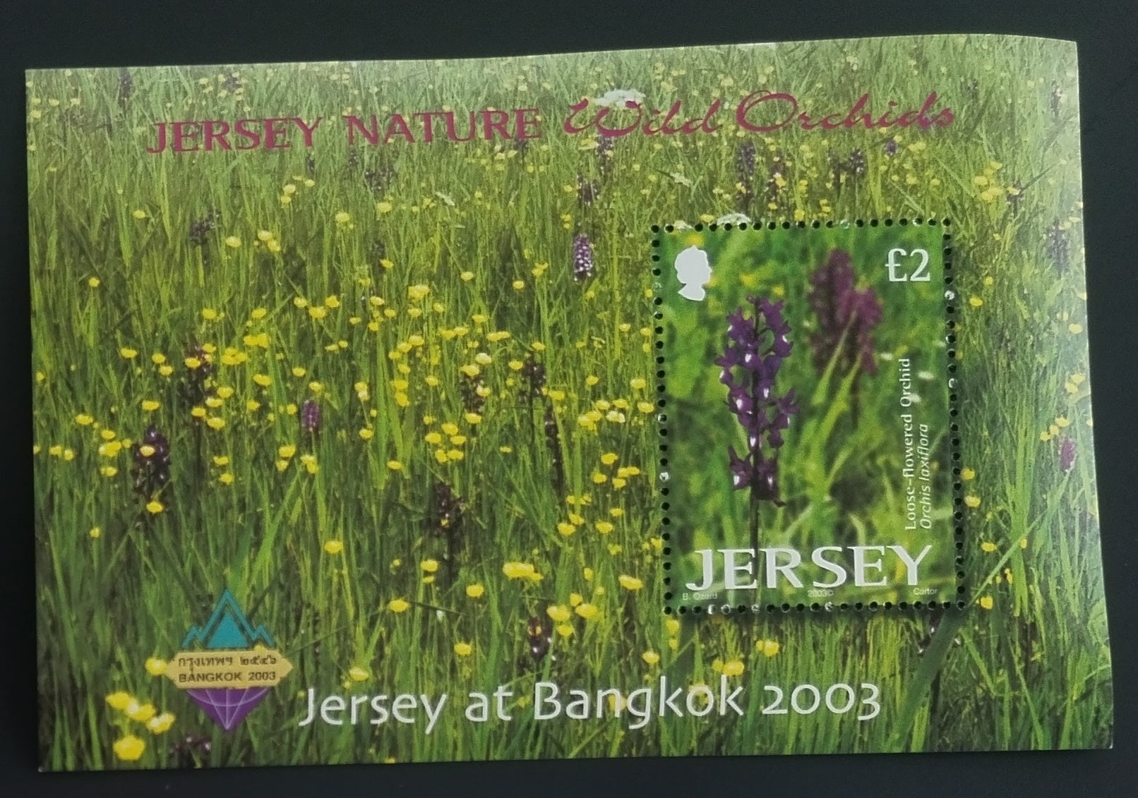 Jersey 2003 Orchideje a flora, Přítisk výstavy