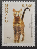 Monako 2009 Kočky a jejich výstava
