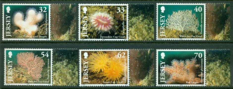 Jersey 2004 Korály a sasanky, Podmořská fauna
