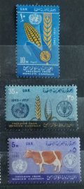 UAR 1963 Fight against hunger, Cows and flora