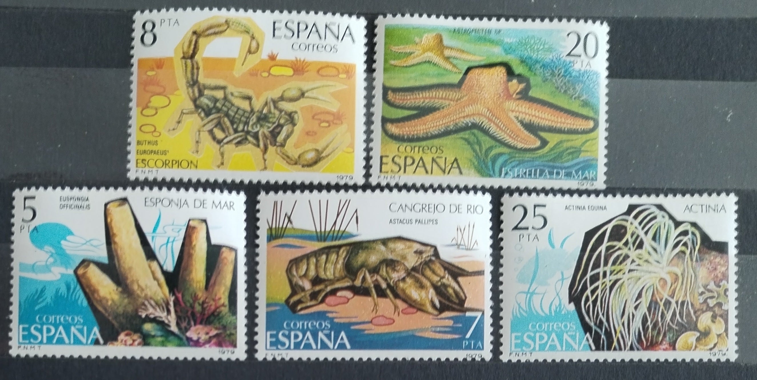 Španělsko 1979 Bezobratlí, Hmyz a mořská fauna