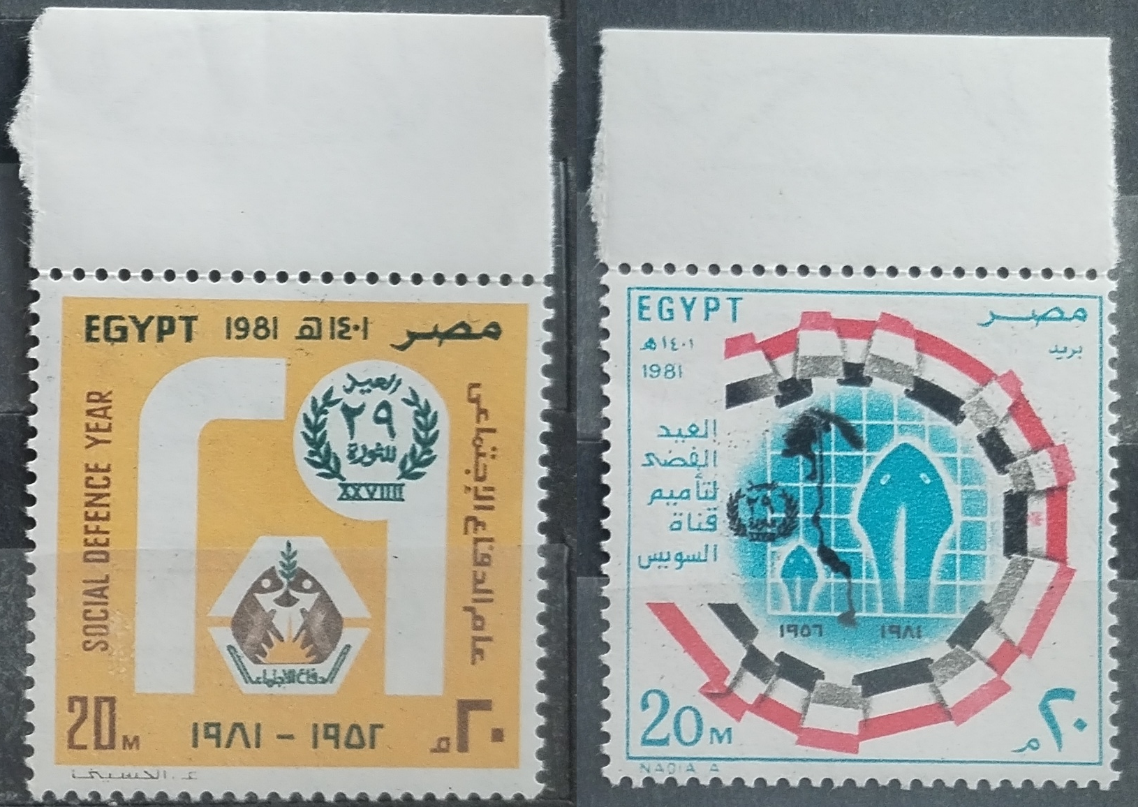 Egypt 1981 Revolution Anniversary, Flags