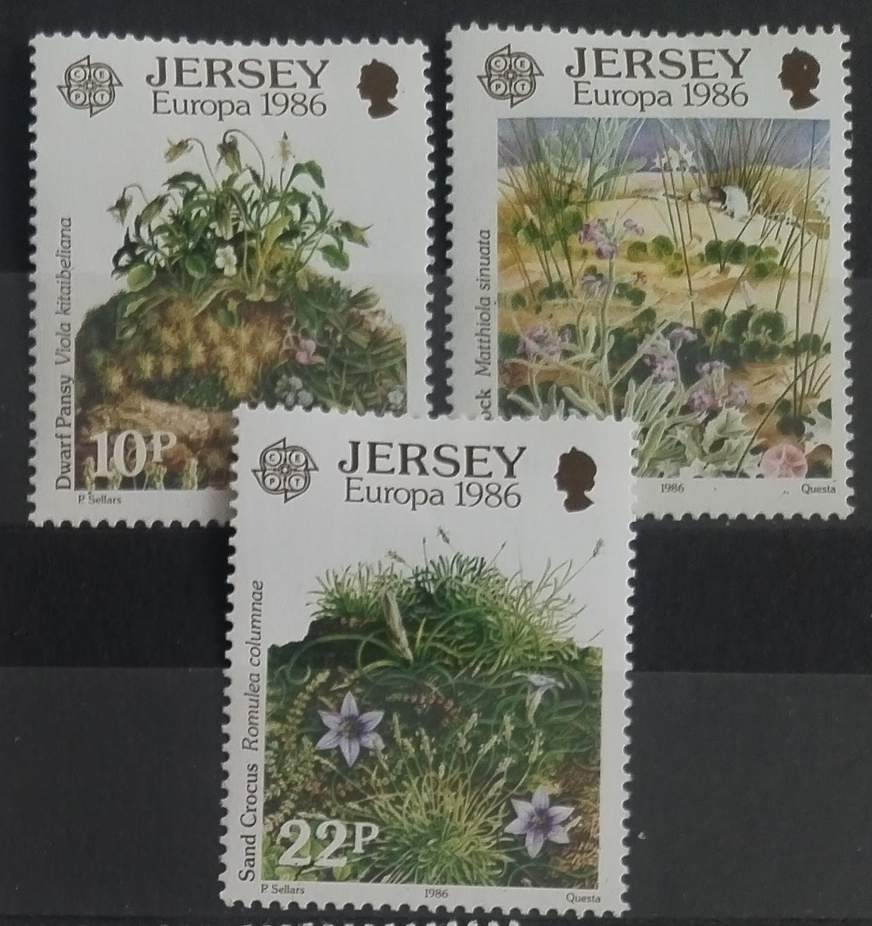 Jersey 1986 EUROPA a luční flora