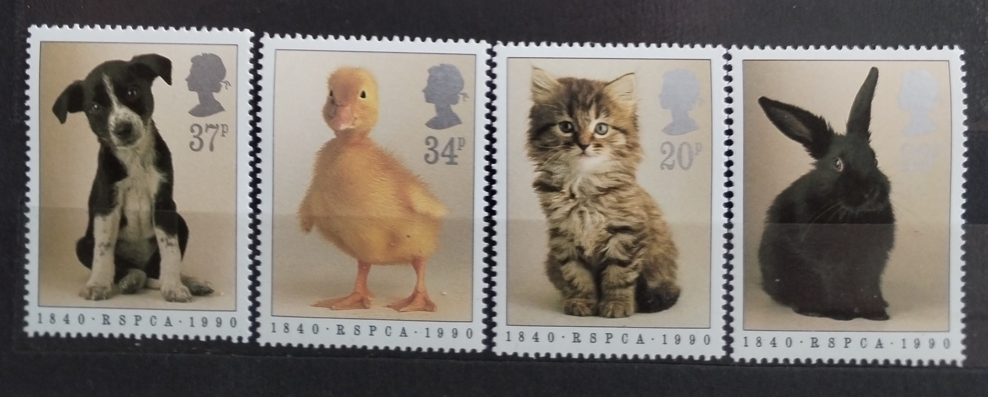 Velká Británie 1990 Ochrana zvířat, Kočky a ptáci