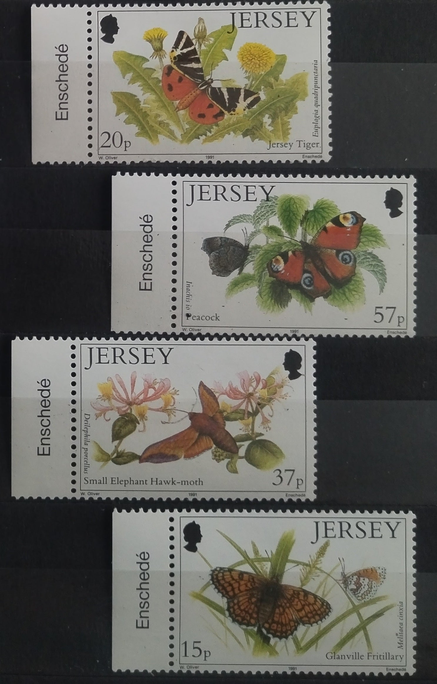 Jersey 1991 Motýli a hmyz