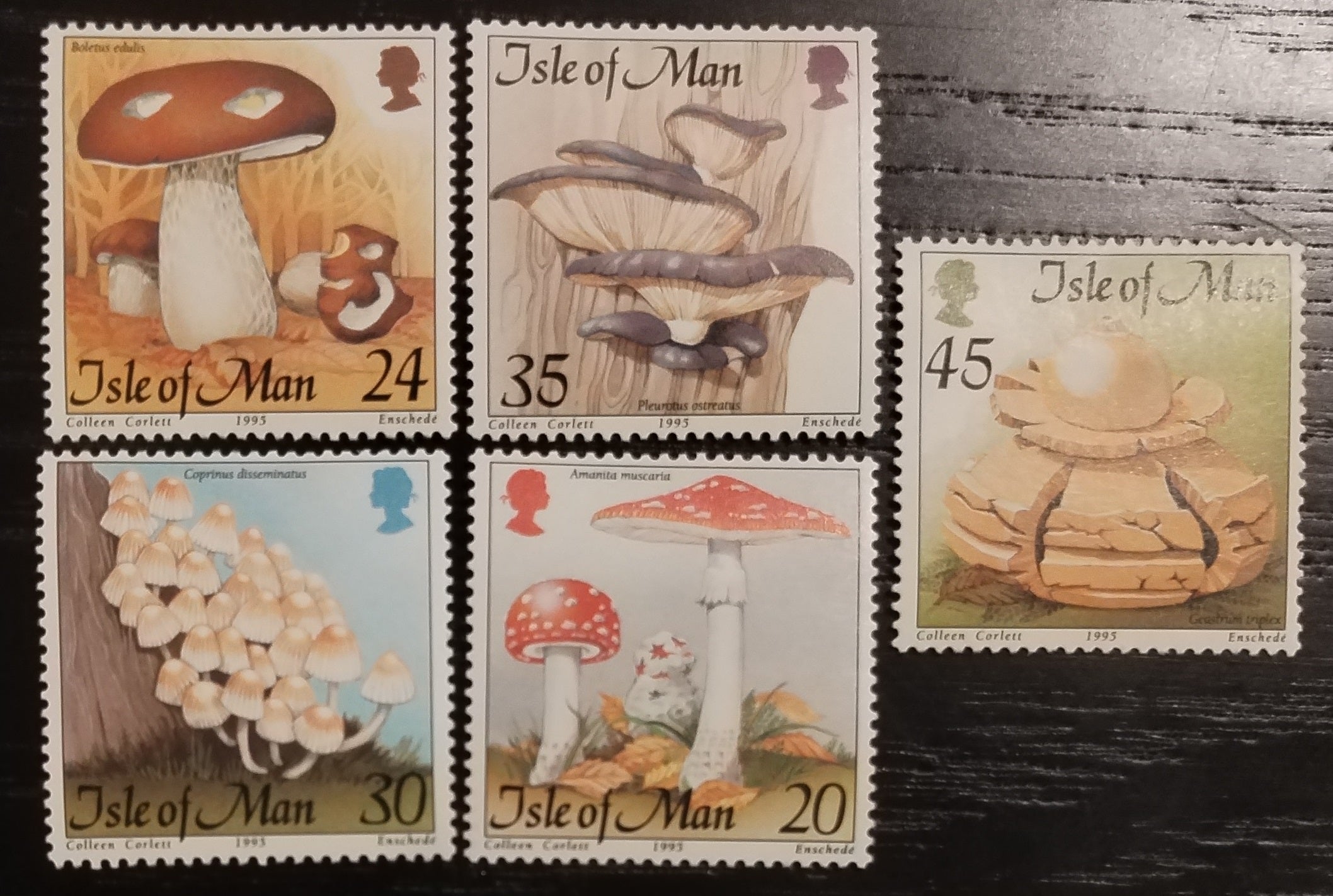 Ostrov Man 1995 Houby a flora lesů