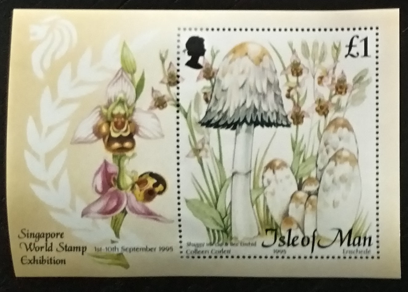 Ostrov Man 1995 Houby a orchideje