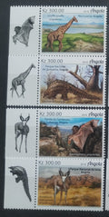 Angola 2018 Africká fauna - Žirafy, Netopýři, Luskouni
