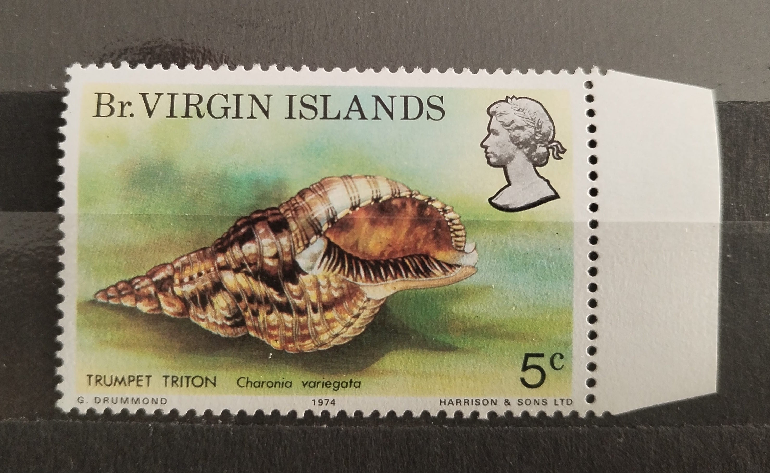 Britské Panenské ostrovy 1974 50£ SG317w INVERTED WMK