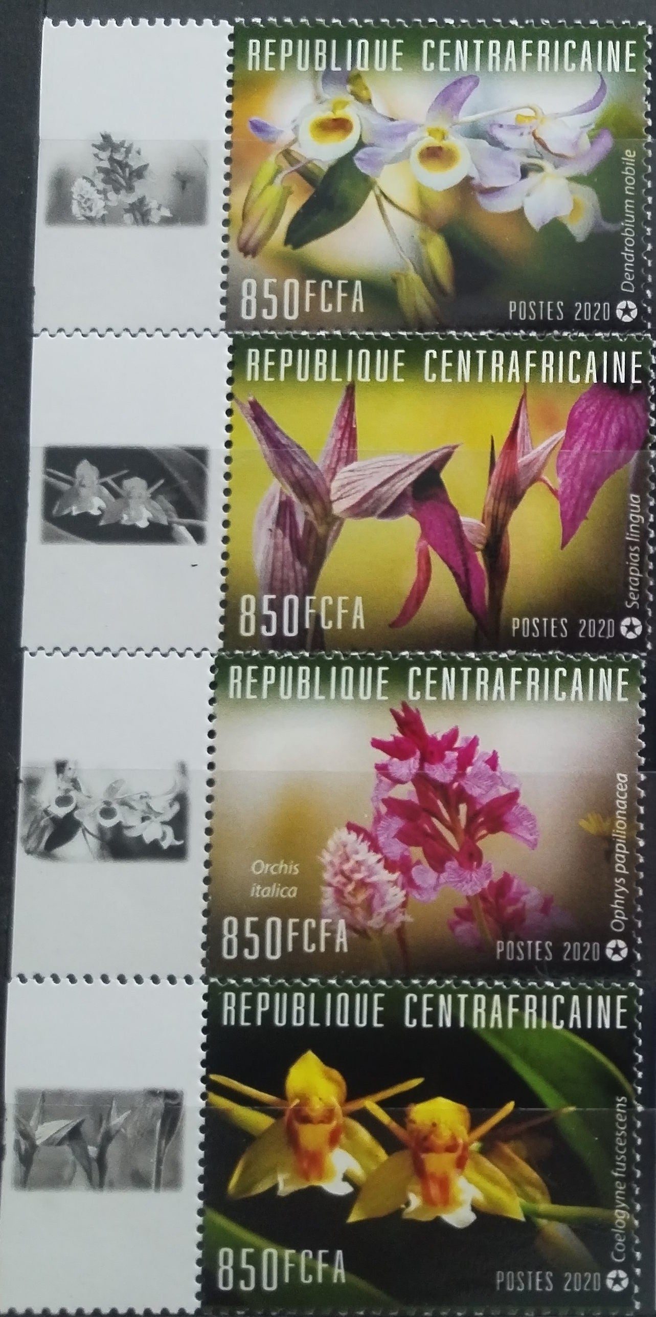 Středoafrická rep. 2020 Orchideje a květiny Afriky