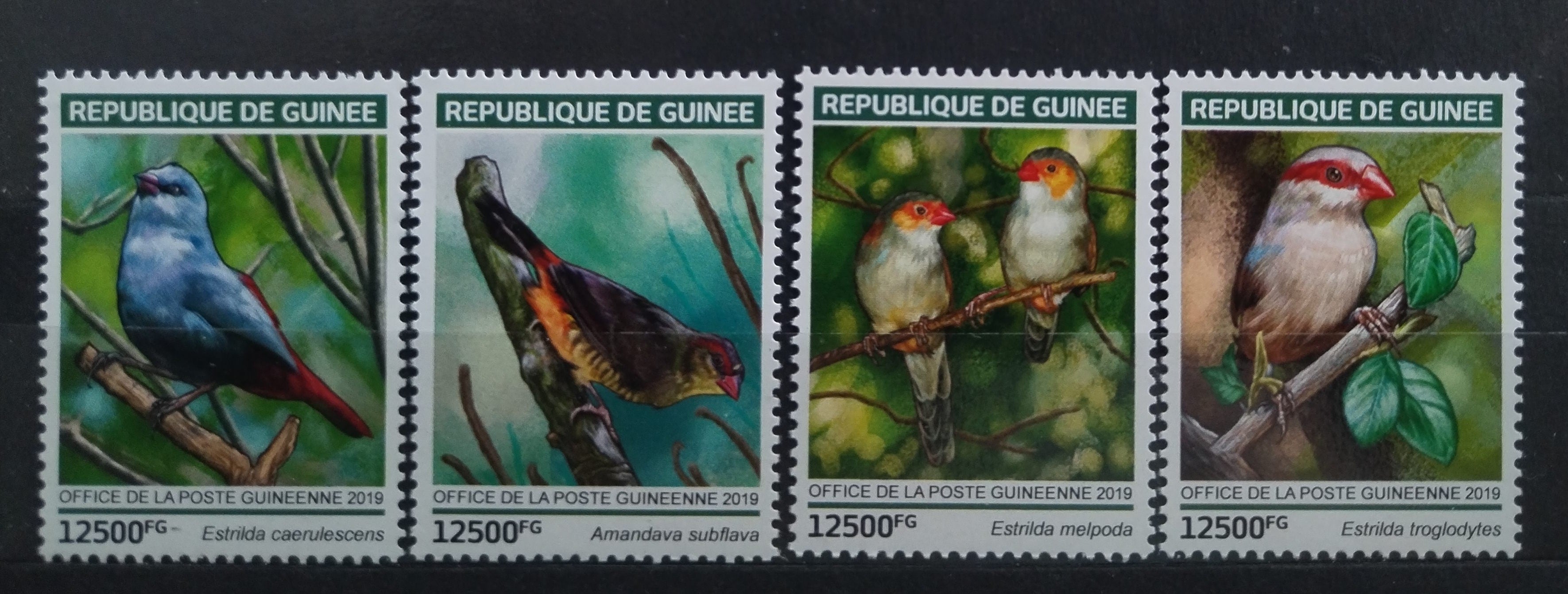 Guinea 2019 Astrildovití, Ptáci Afriky