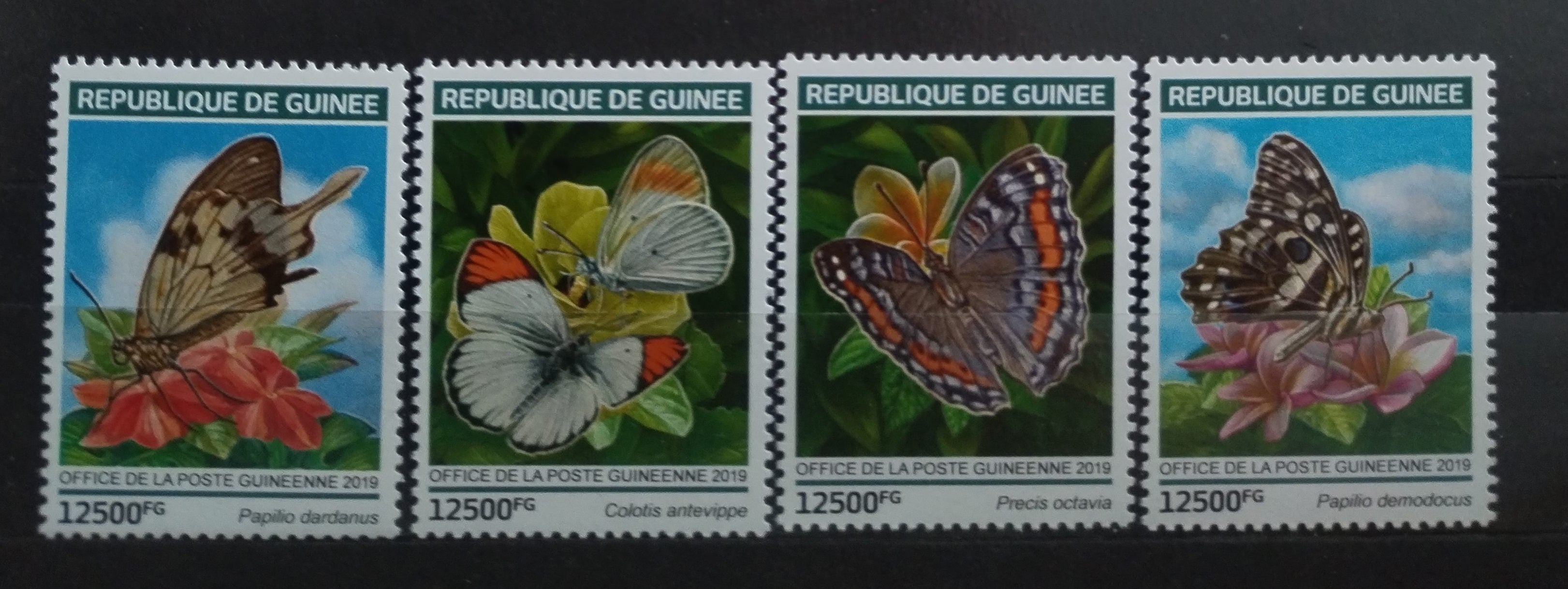 Guinea 2019 Motýli a hmyz Afriky