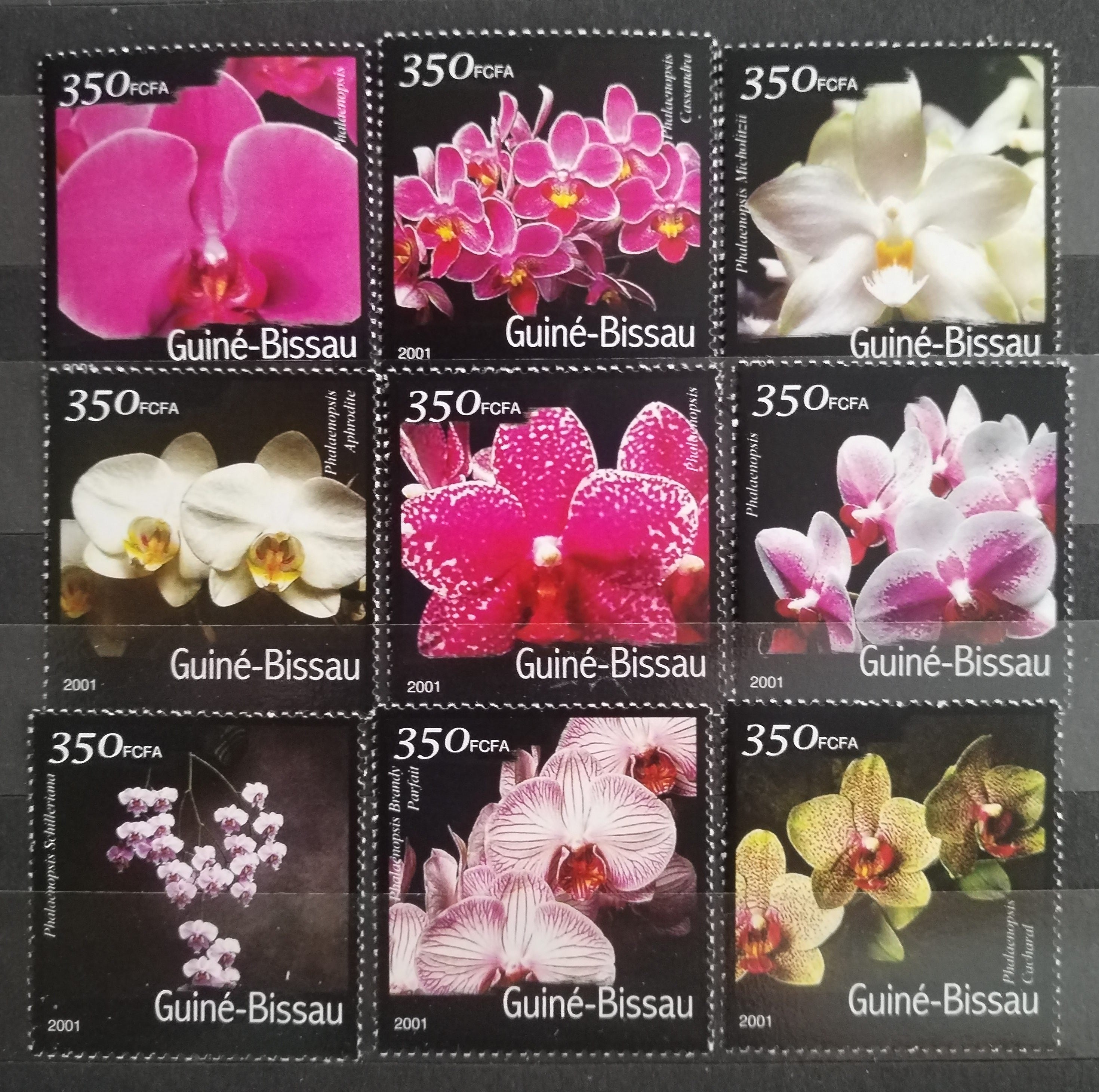 Guinea Bissau 2001 Africké orchideje a květiny I.