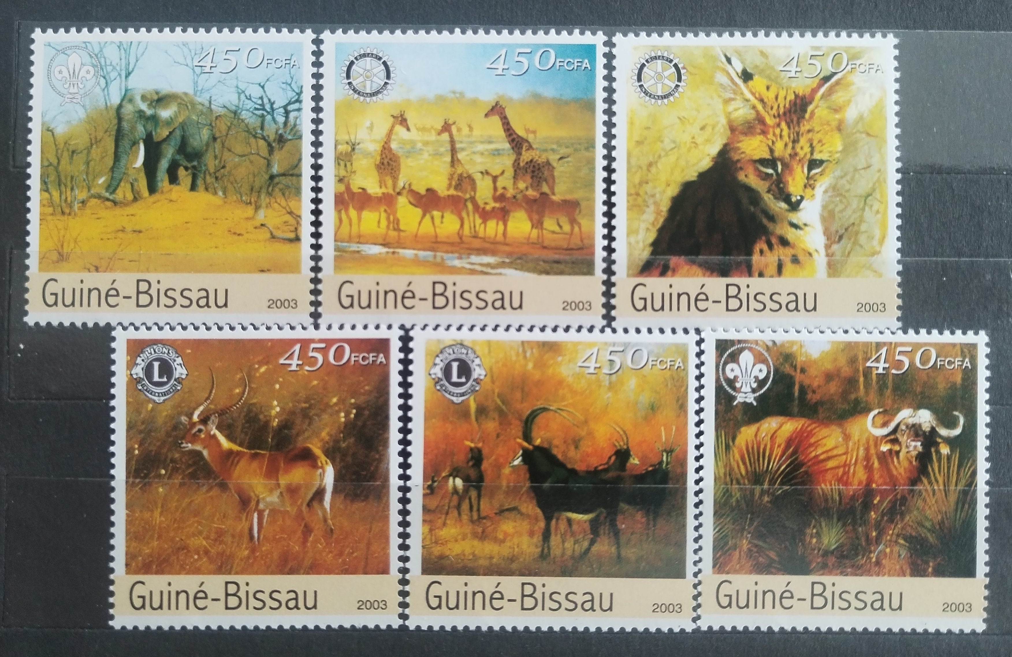 Guinea Bissau 2003 Africká fauna, Divoké kočky, Skaut