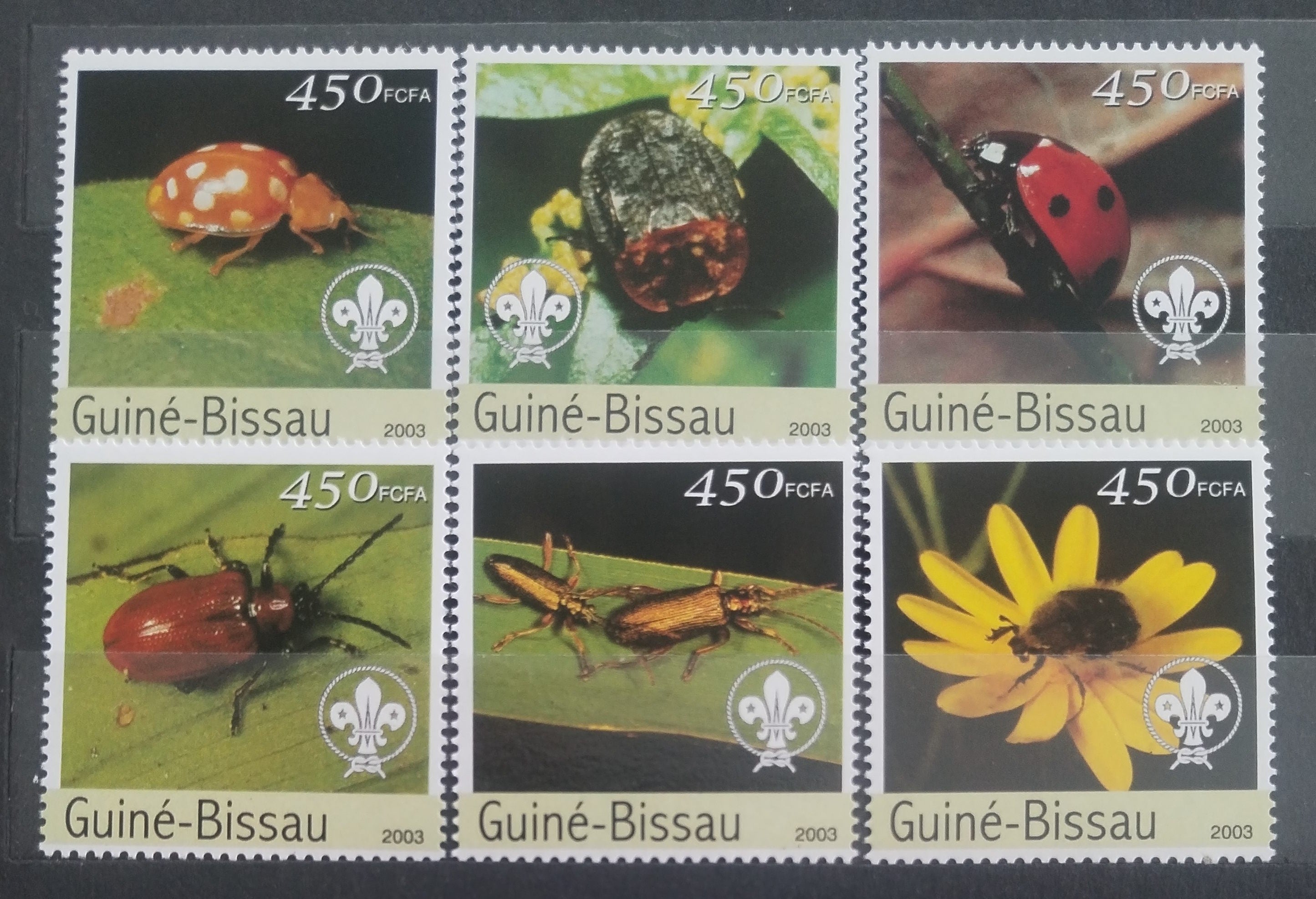 Guinea Bissau 2003 Hmyz a brouci, Skaut a flora