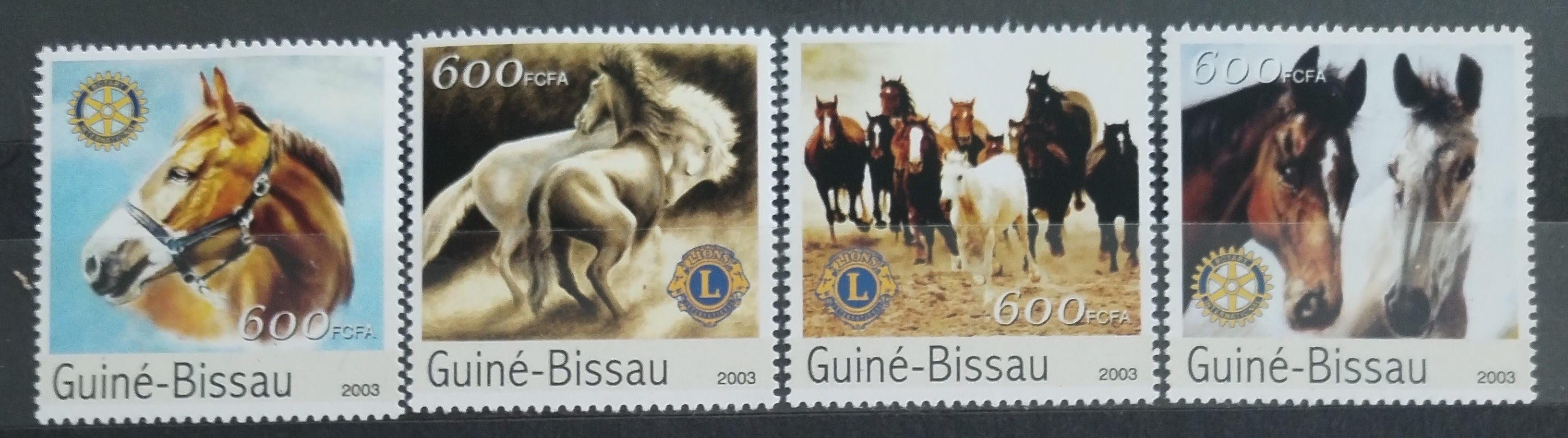 Guinea Bissau 2003 Koně a domácí fauna