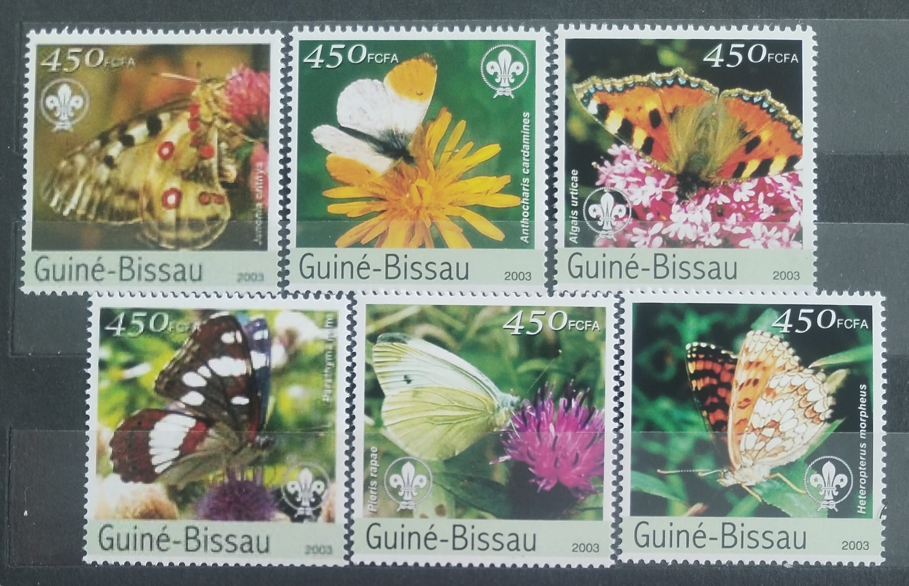 Guinea Bissau 2003 Motýli a flora, Skaut