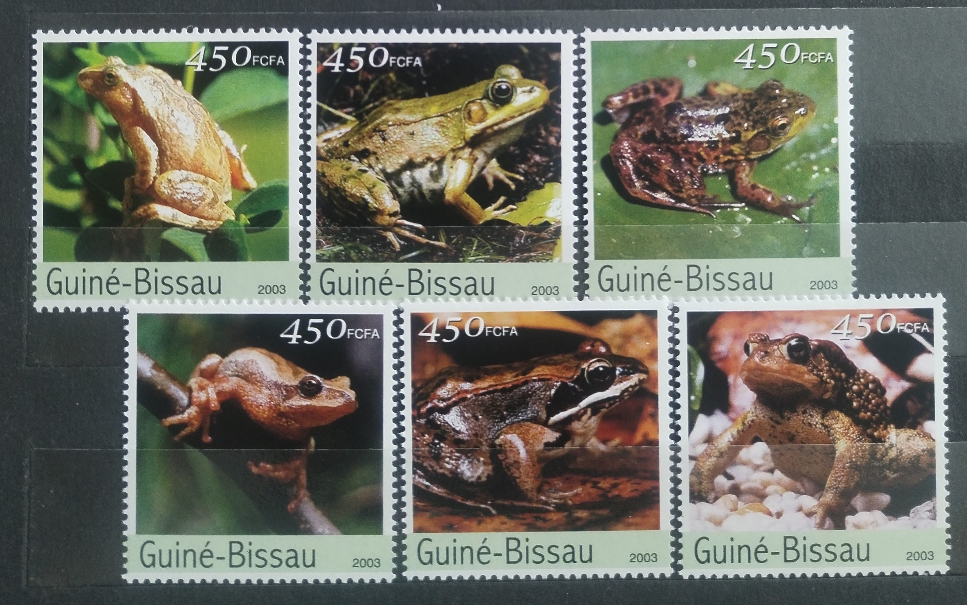 Guinea Bissau 2003 Žáby a obojživelníci Afriky