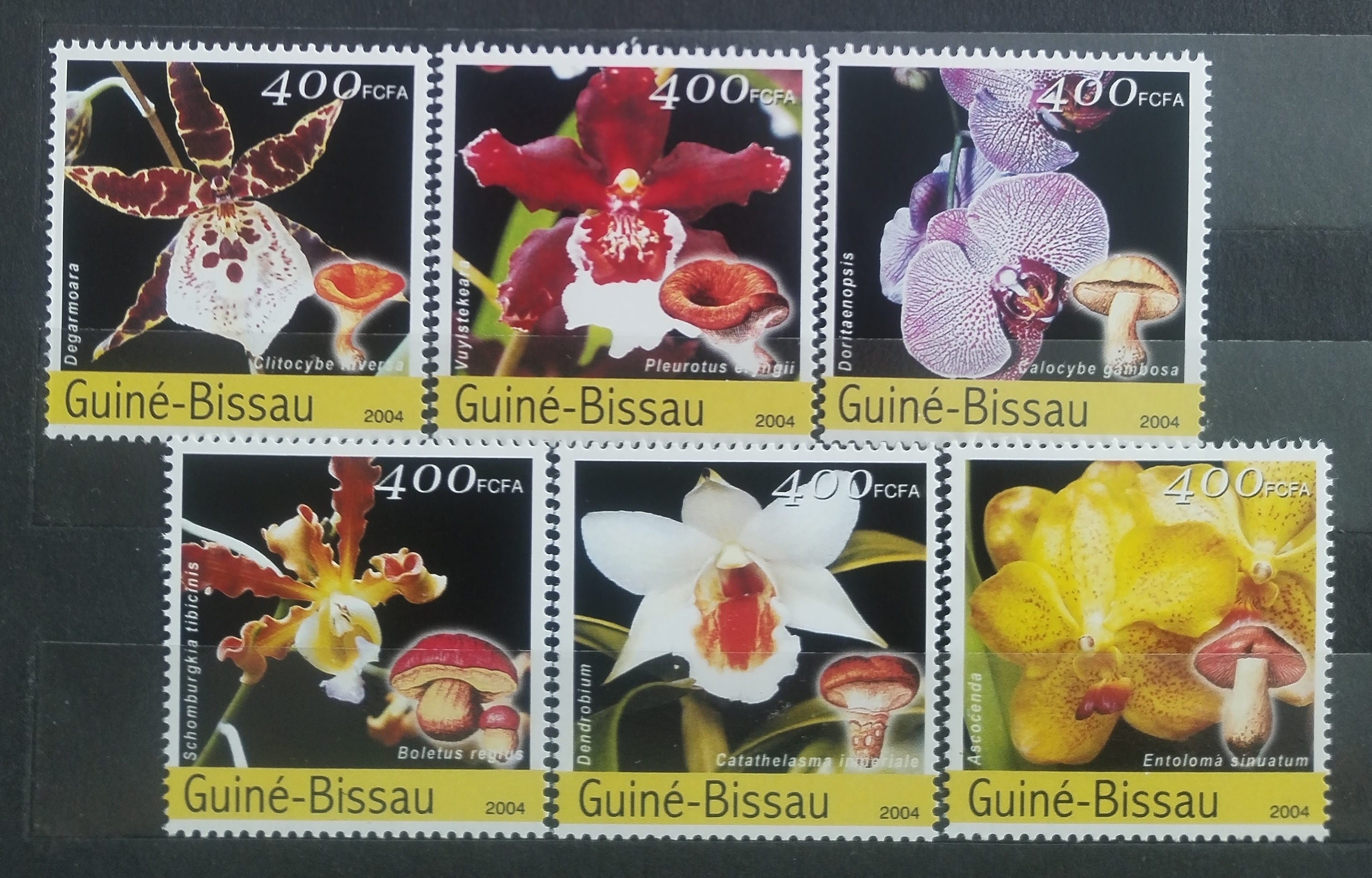 Guinea Bissau 2004 Orchideje a houby Afriky