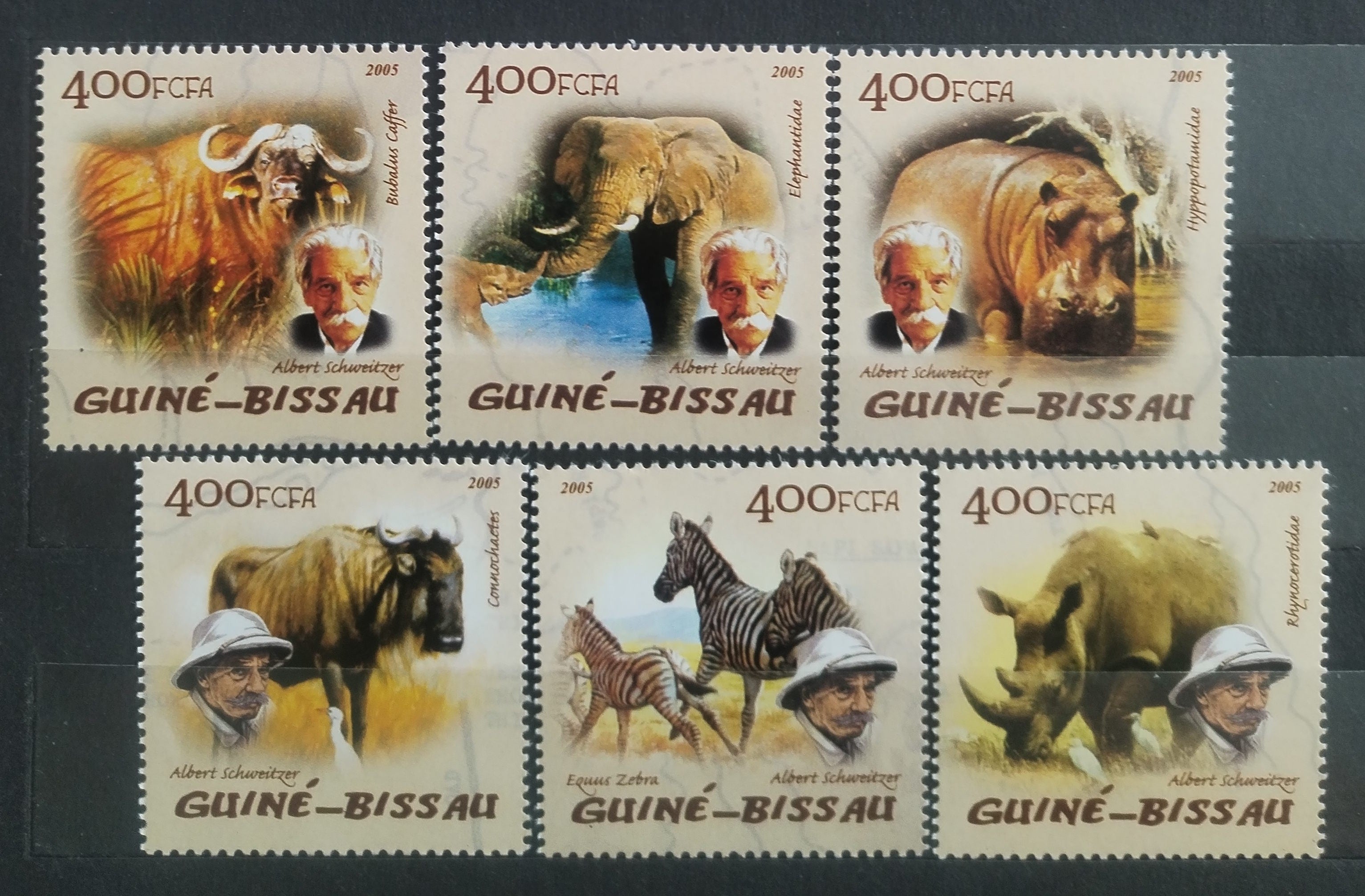 Guinea Bissau 2005 Fauna Afriky - Nosorožci, Kopytníci