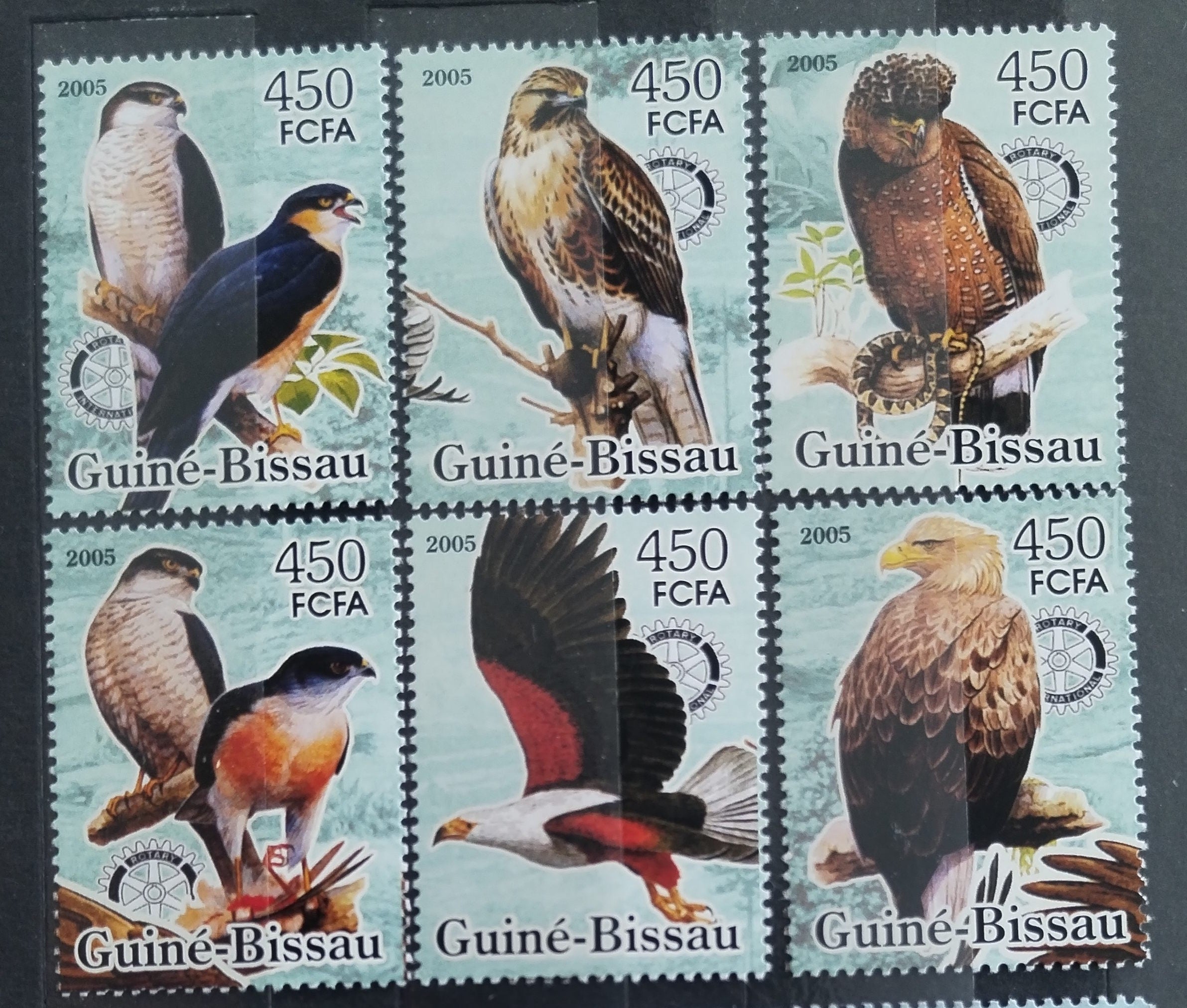 Guinea Bissau 2005 Dravci a draví ptáci