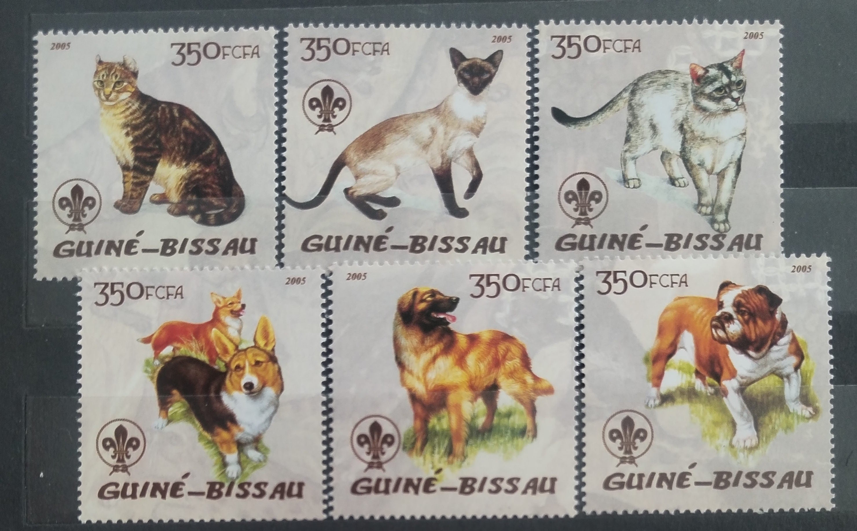 Guinea Bissau 2004 Kočky a psi, Domácí mazlíčci, Skaut