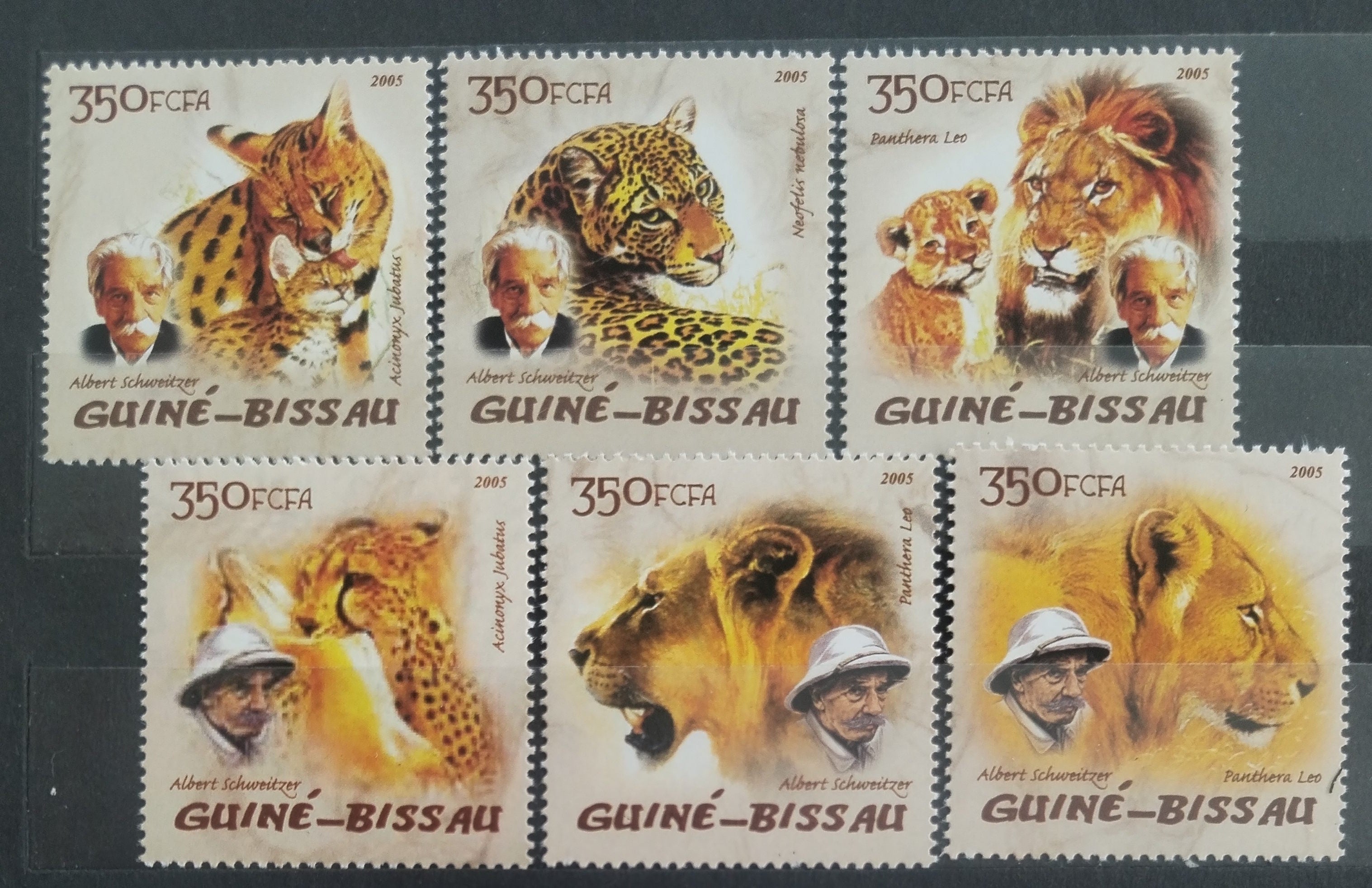 Guinea Bissau 2005 Lvi a Schweitzer, Divoké kočky