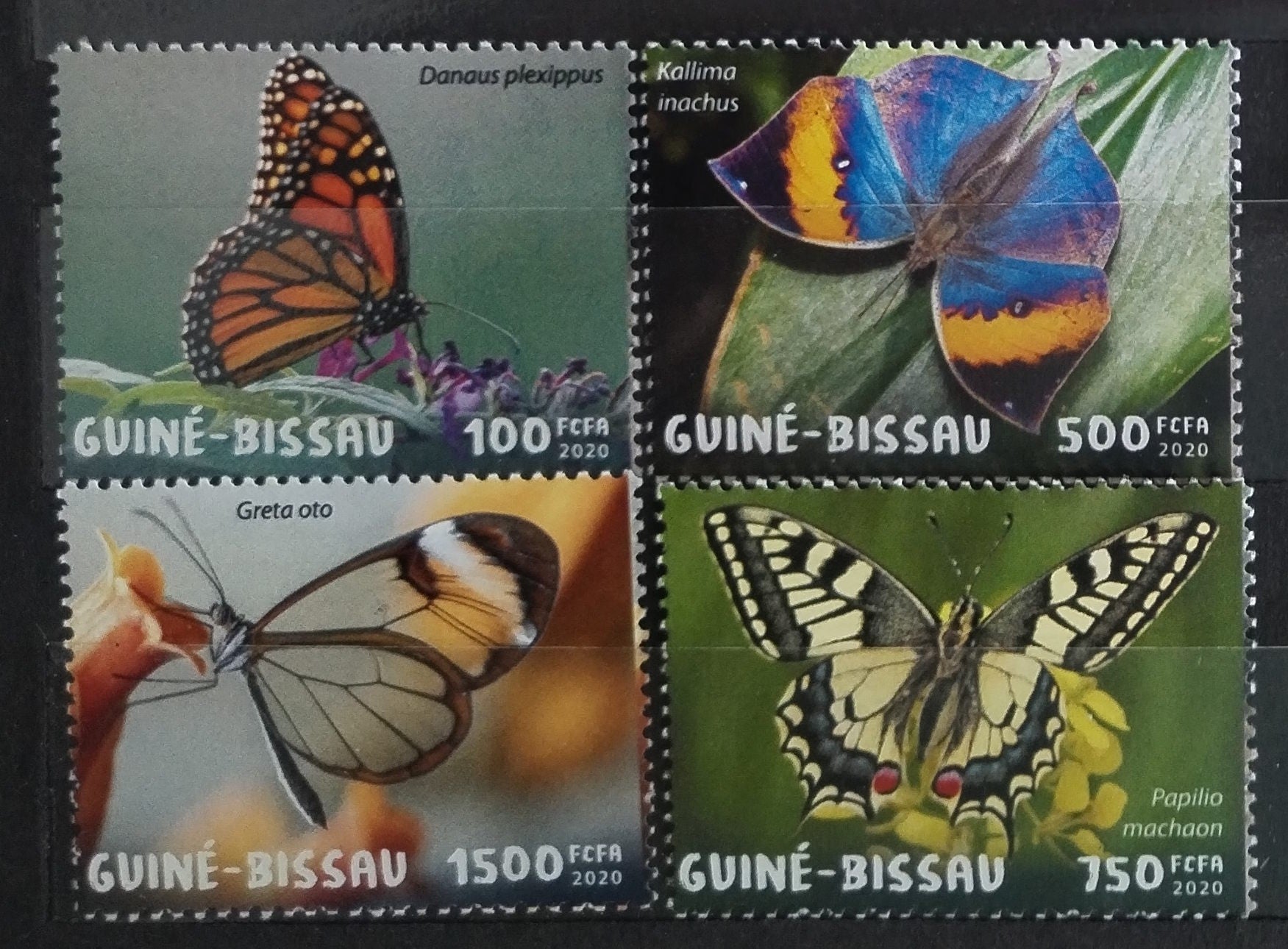 Guinea Bissau 2020 Motýli a hmyz Afriky