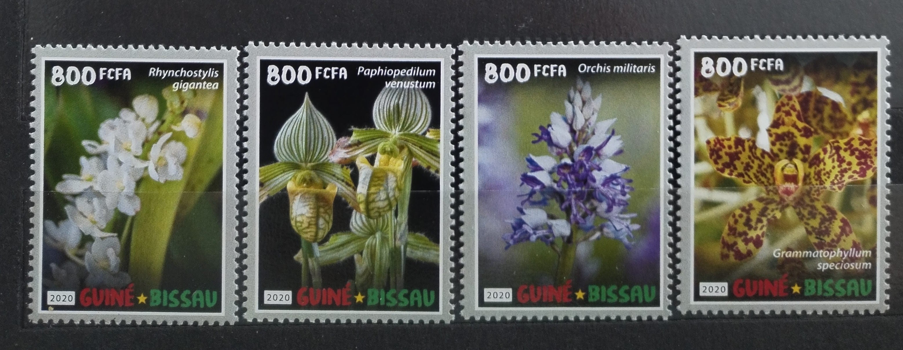 Guinea Bissau 2020 Orchideje a květiny Afriky