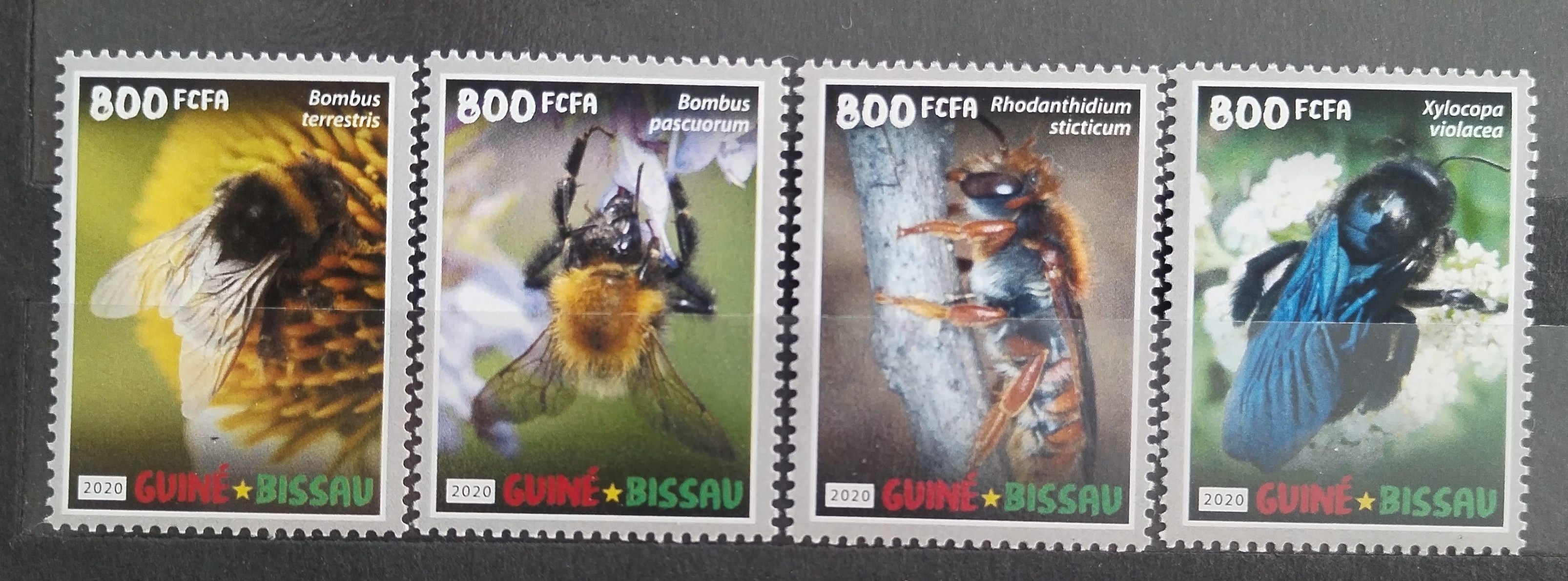 Guinea Bissau 2020 Včely a medonosný hmyz