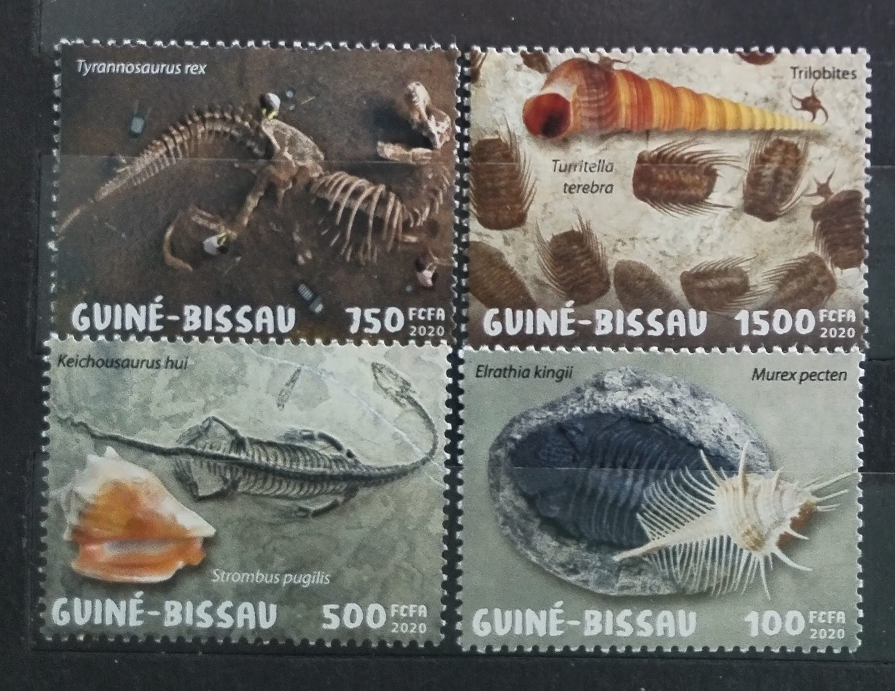 Guinea Bissau 2020 Zkameněliny a fosílie, Pravěk