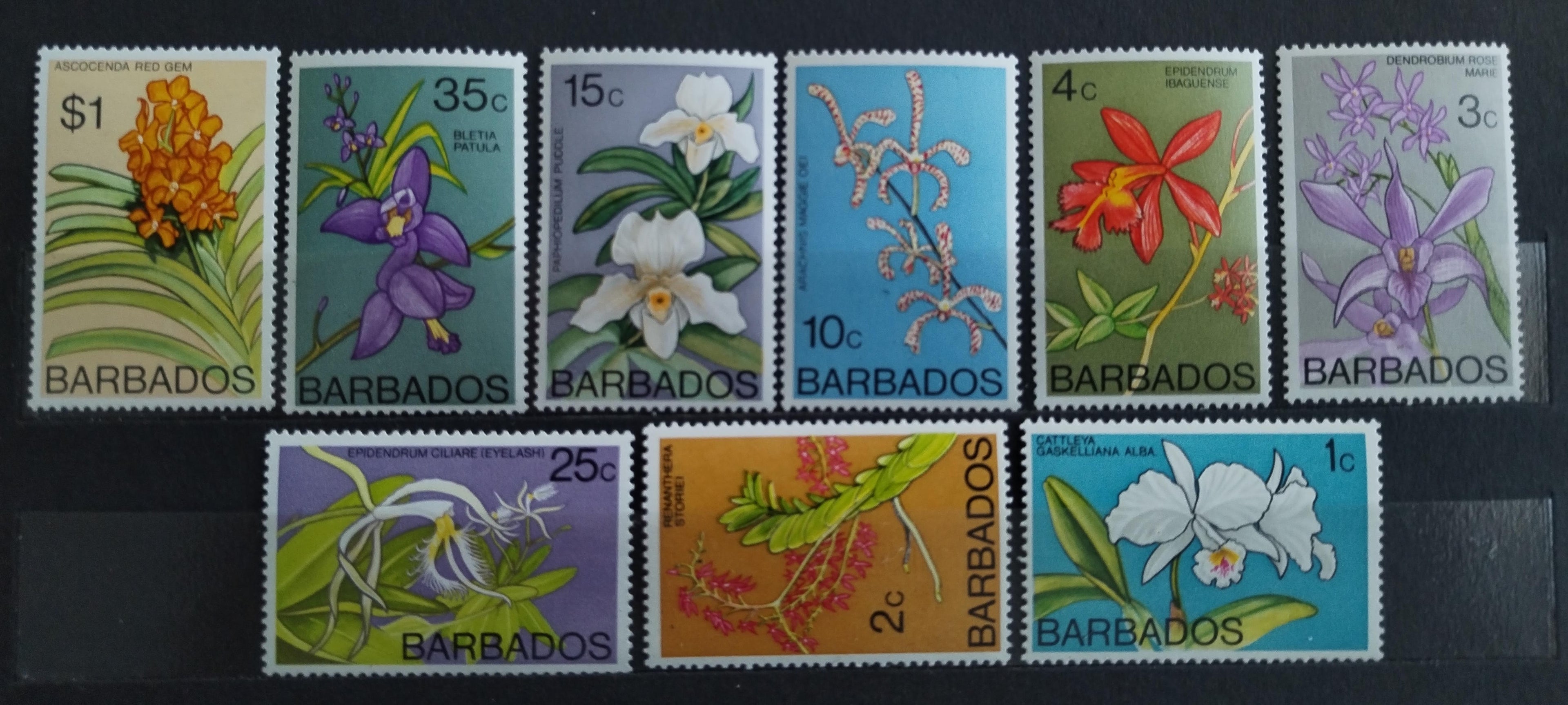 Barbados 1976 Orchideje a květiny (reprint)