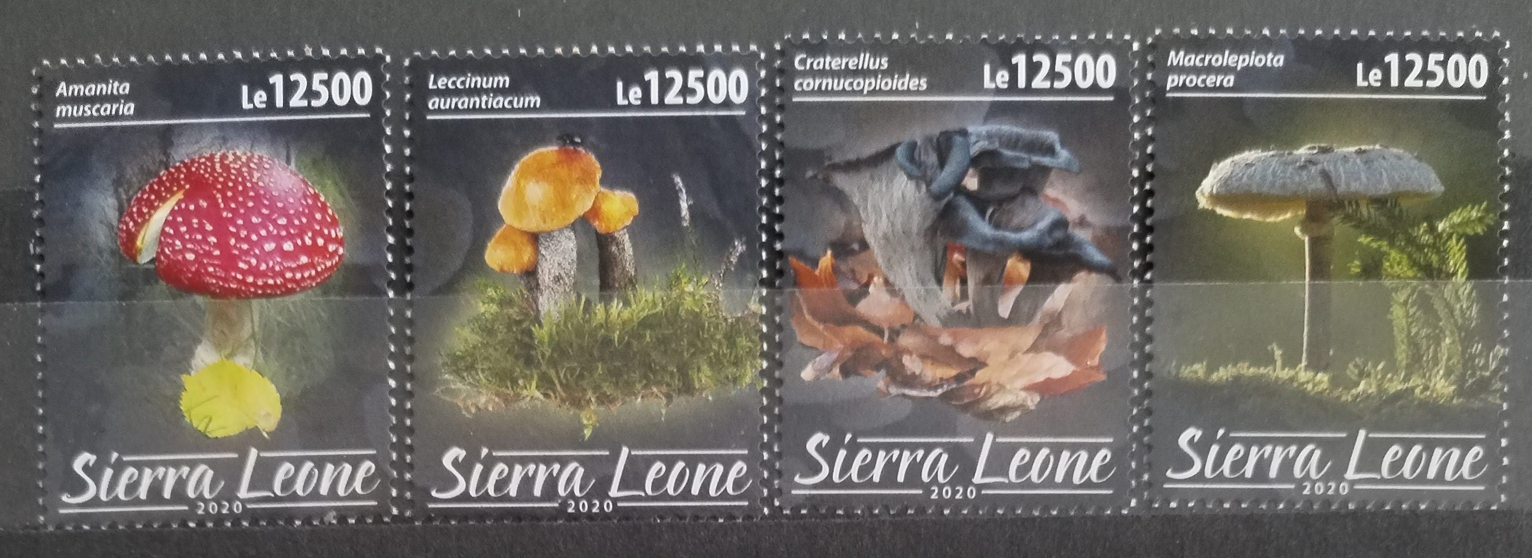Sierra Leone 2020 Houby a mykologie