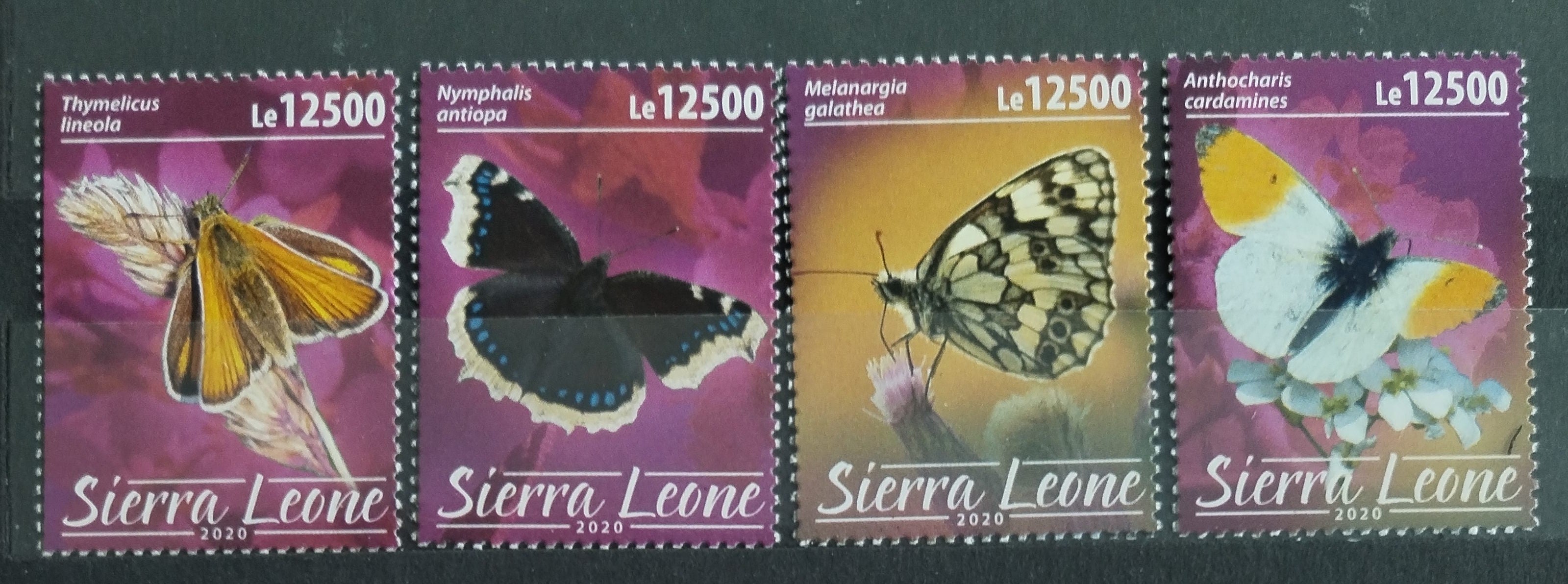 Sierra Leone 2020 Motýli a okrasný hmyz