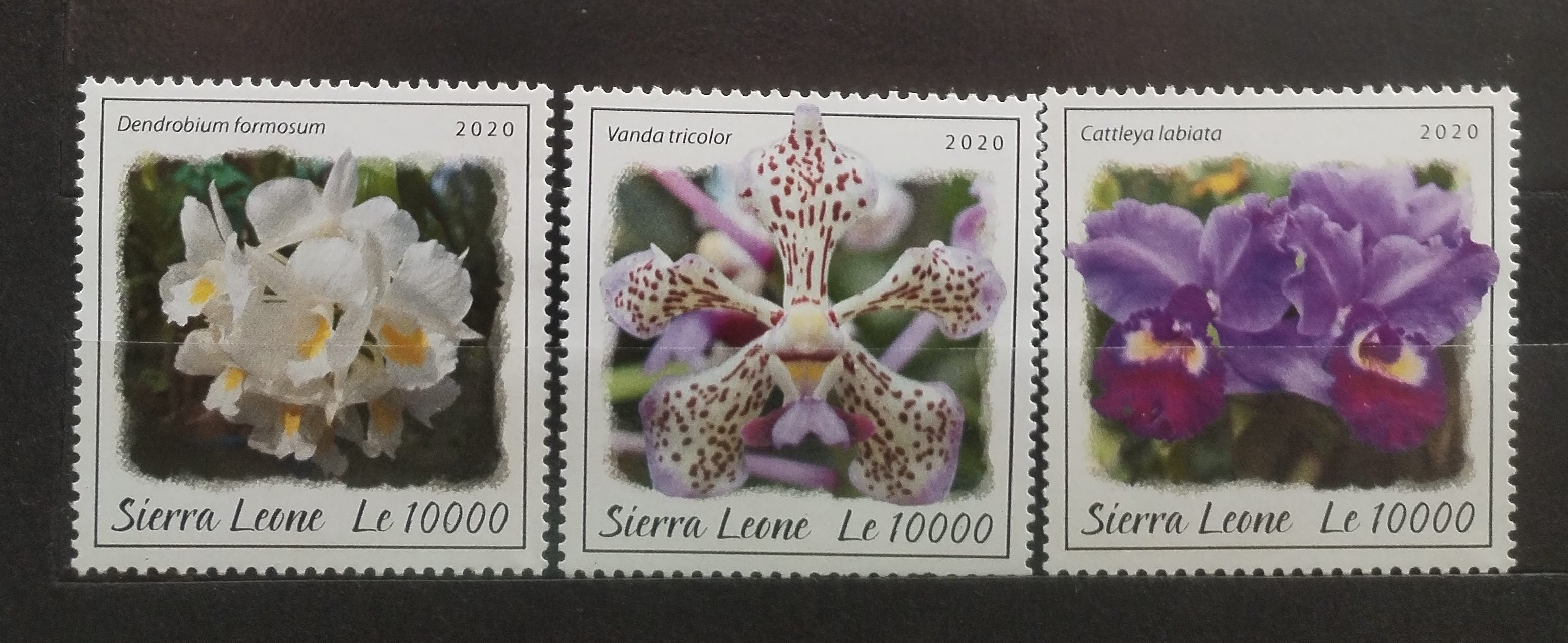 Sierra Leone 2020 Orchideje a květiny
