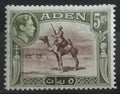 Aden 1939 SG26 40£ Velbloudi a policie