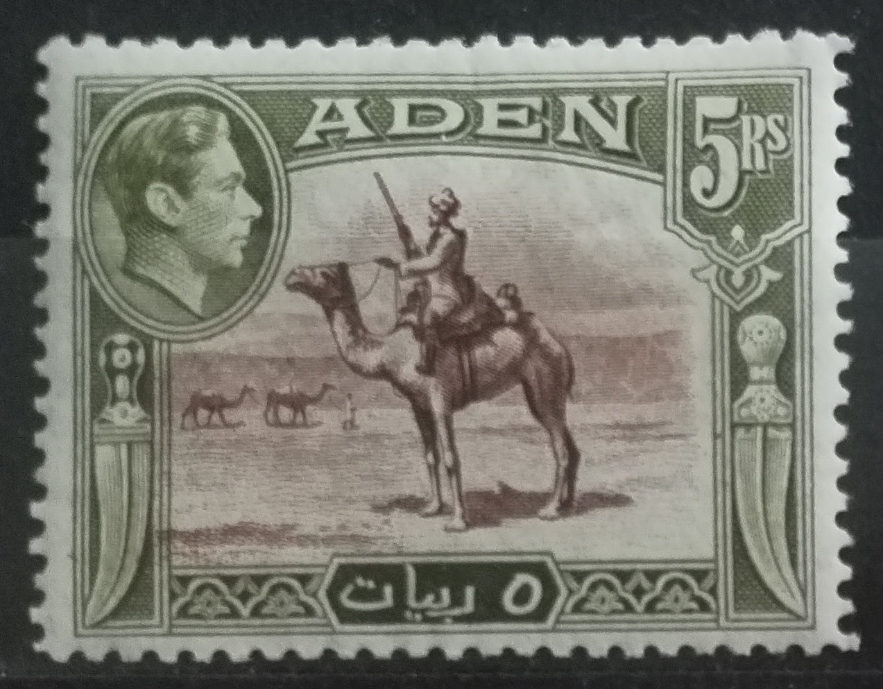 Aden 1939 SG26 40£ Velbloudi a policie