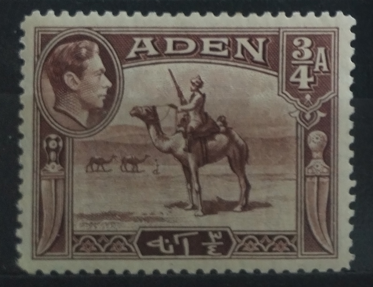 Aden 1939 SG17 Velbloudi a policie