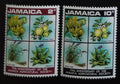 Jamajka 1970 Banány a zemědělství, Flora