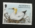 Alderney 1995 Dotisk definitivy - ptáci a fauna ostrova