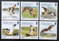 Alderney 2002 Draví ptáci a ostrovní fauna