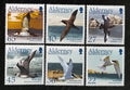 Alderney 2003 Mořští ptáci a ostrovní fauna