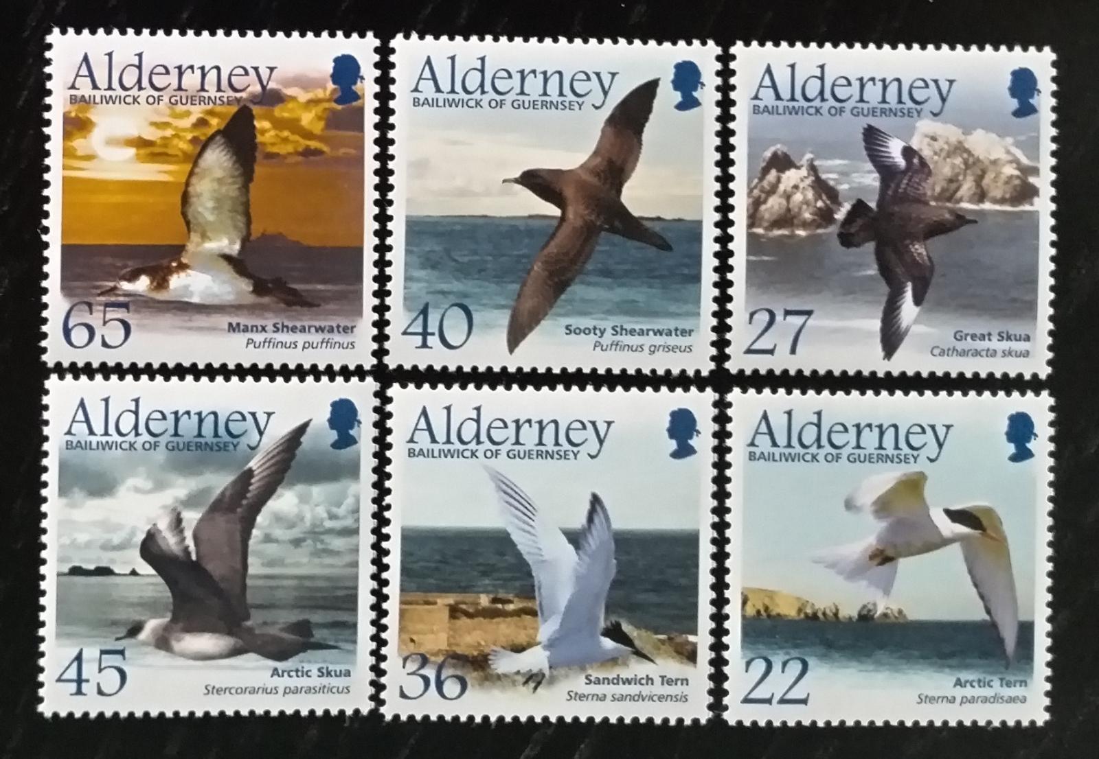 Alderney 2003 Mořští ptáci a ostrovní fauna