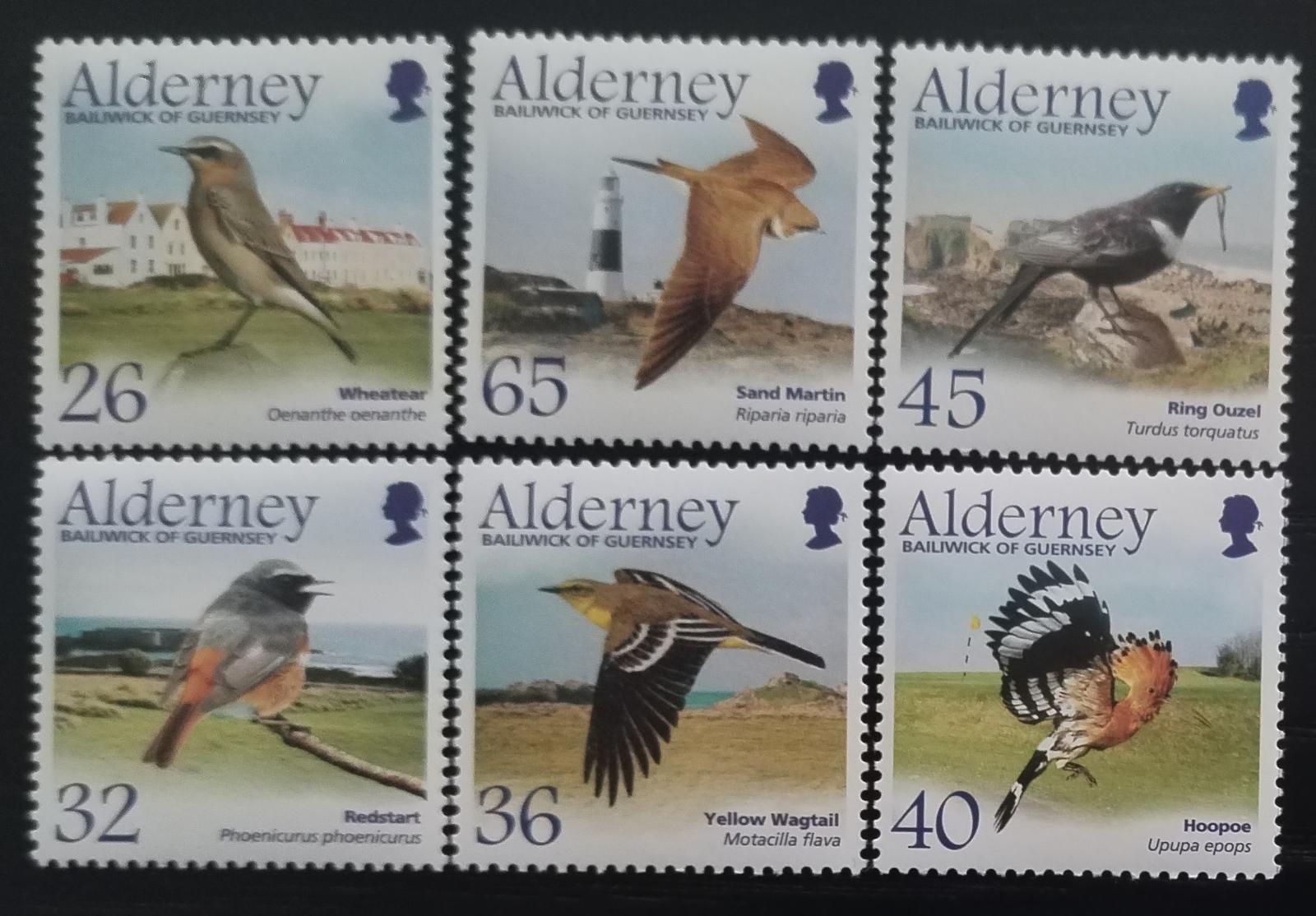 Alderney 2004 Stěhovaví ptáci na ostrově