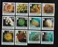 Alderney 2006 Definitiva: Mořská fauna a flora, Korály s dotisky