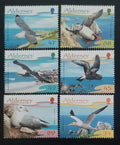 Alderney 2006 Pobřežní mořští ptáci ostrova
