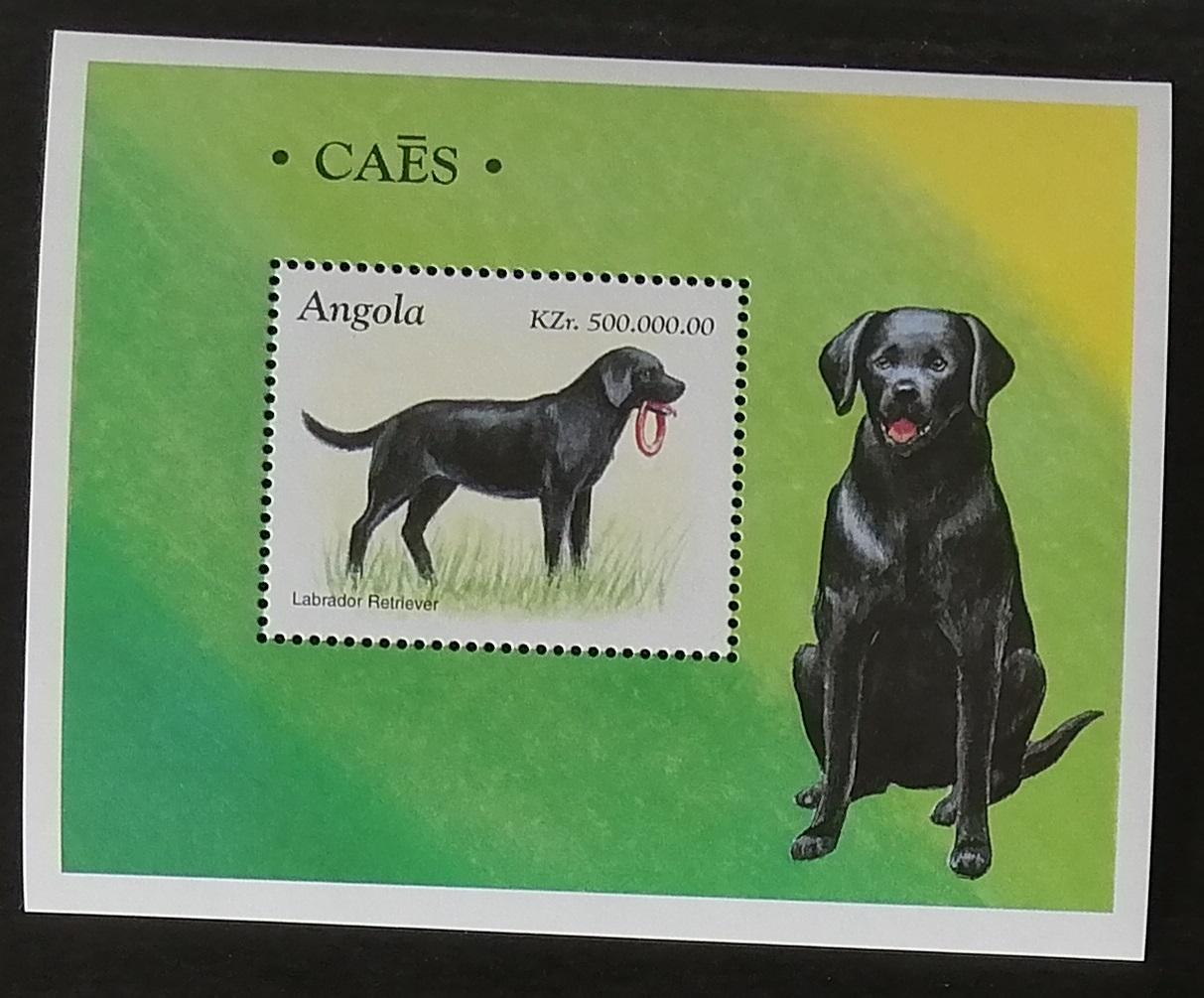Angola 1998 Bl.43 6€ Psi a jejich rasy, domácí fauna, Labrador