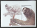 Angola 2000 Bl.78 6€ Africká fauna, Bradypus tridactylus